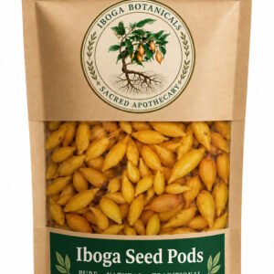 Iboga seed pods