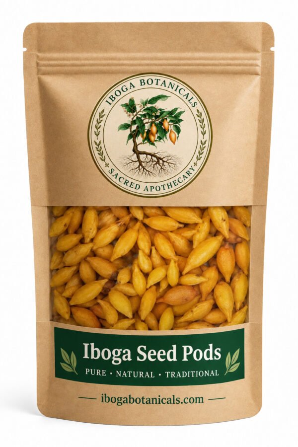 Iboga seed pods